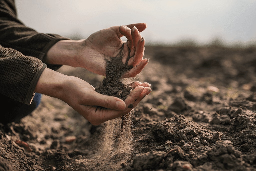 Soil and Solids Analysis