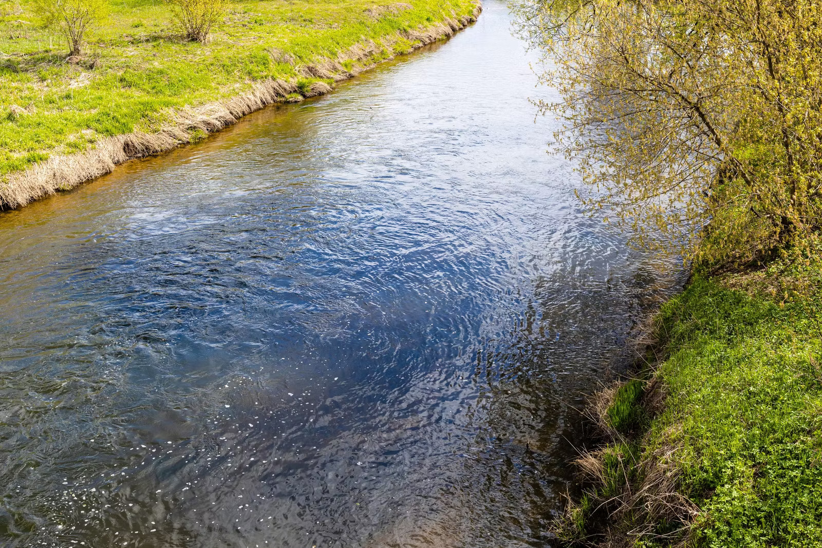 Water Quality Testing